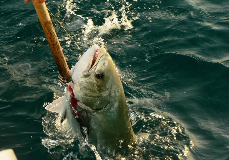 Persona pescando desde la orilla en la costa de Guerrero